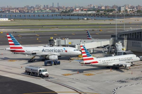 American Airlines said the flight attendant was 'withheld from service' immediately 