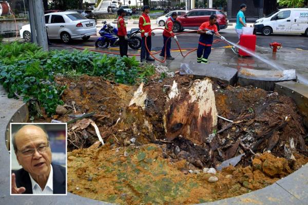 “不是命运”:吉隆坡悲剧后呼吁改善树木管理